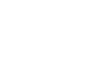 Run Fast Racing