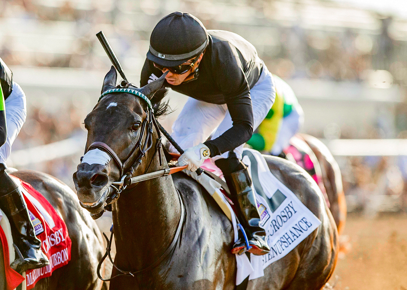 Listenupshance after winning the Grade 1 Bing Crosby Stakes at Del Mar